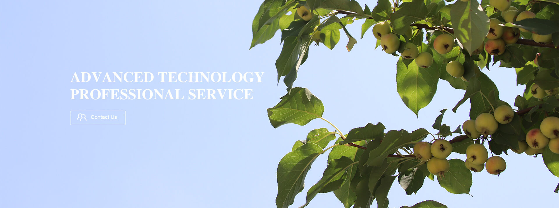 Advanced technology ,professional service